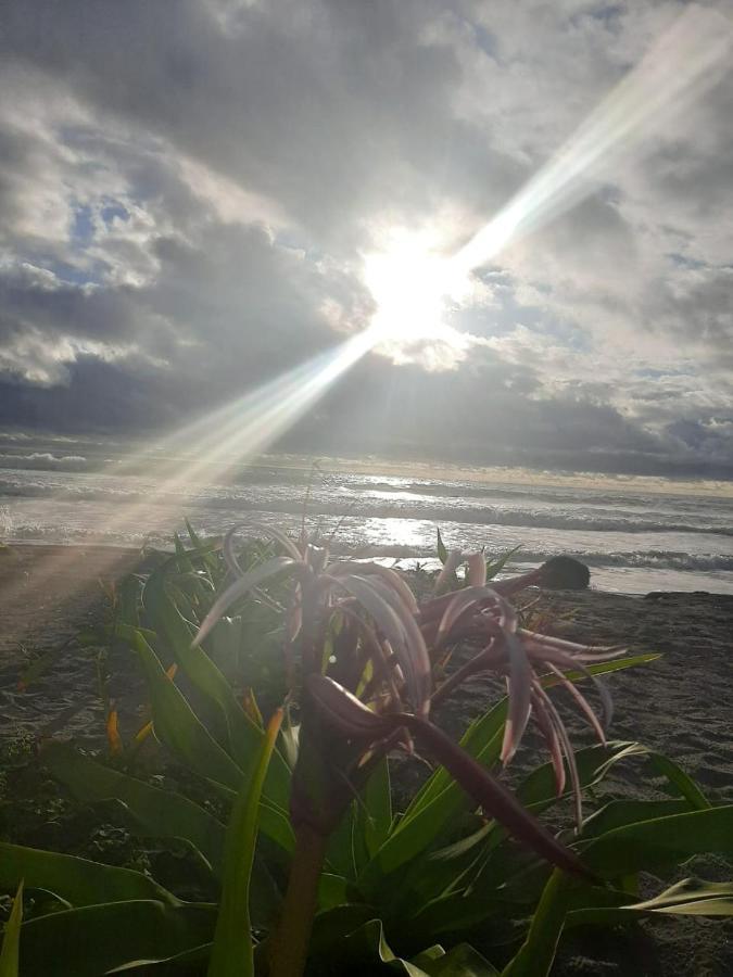 Seaside Garden Ecolodge Mompiche Buitenkant foto