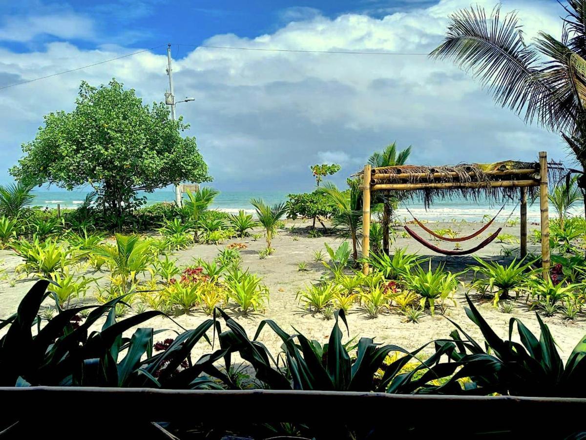 Seaside Garden Ecolodge Mompiche Buitenkant foto
