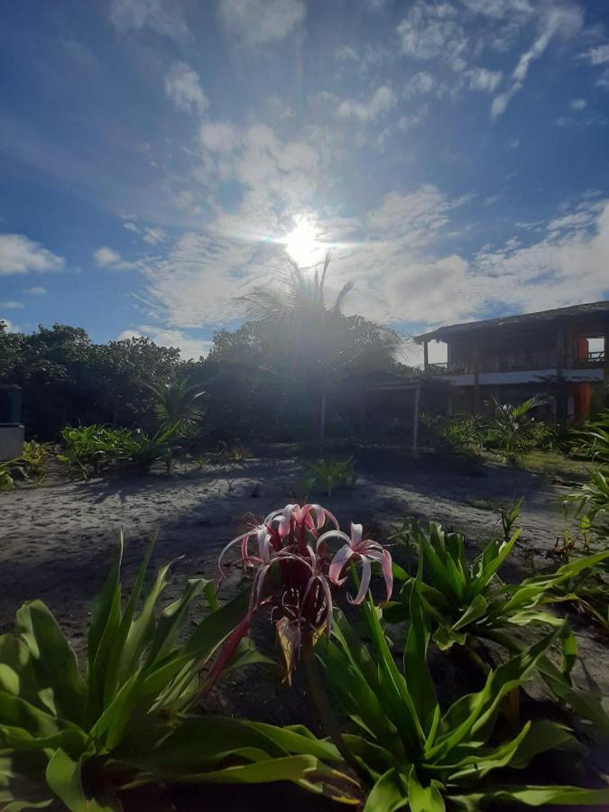 Seaside Garden Ecolodge Mompiche Buitenkant foto