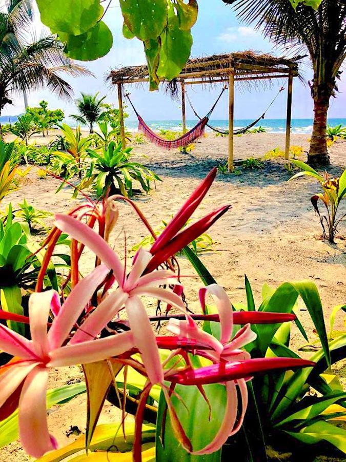 Seaside Garden Ecolodge Mompiche Buitenkant foto